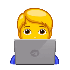 developer
